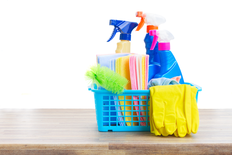 Differences Between Professional & Regular Cleaning Services